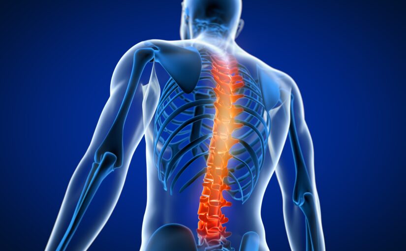 Understanding Spinal Cord Injuries During SCI Awareness Month
